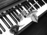 Piano Man II