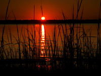 Nature Photography