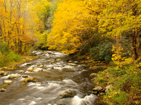 Fall color along the Nantahala River, North Carolina