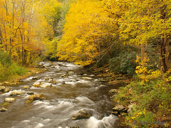 Fall color along the Nantahala River, North Carolina