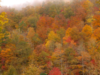 Fall color along the Nantahala River, North Carolina